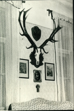 Nyomtató u. 5.