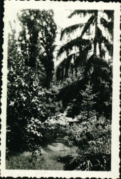 Nyomtató u. 5.