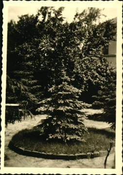 Nyomtató u. 5.