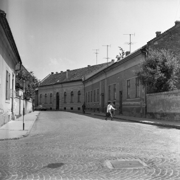 Nyomtató u. 5.