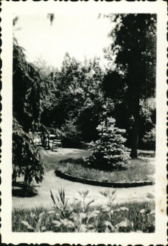 Nyomtató u. 5.