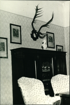Nyomtató u. 5.
